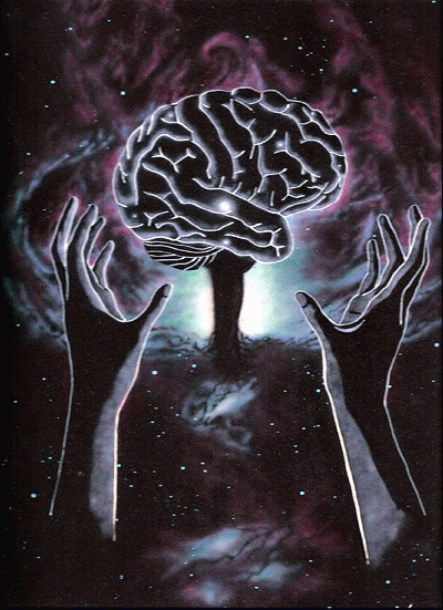 Cosmic Brain